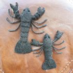 Mother and Baby Yabbies