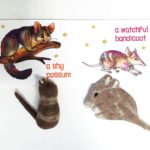 Stories of Bush – What Can You See? Kit