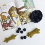 Stories of Bush – Lizard Friends Kit