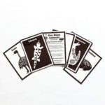 Our Bush Animals Black and White Tummy Time Cards