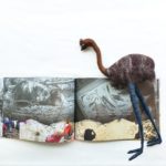 Stories of Country – Emu Kit