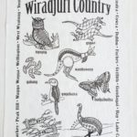 Wiradjuri Country Tea Towel-Large Towns