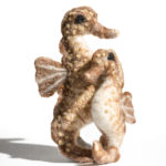 Father and Baby Seahorse