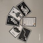 Our Bush Animals B/W Tummy Time Cards- ARABIC
